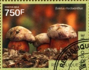 Colnect-4116-095-Boletus-rhodoxanthus.jpg