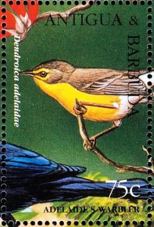 Colnect-4116-650-Barbuda-Warbler%C2%A0%C2%A0%C2%A0%C2%A0Setophaga-subita.jpg