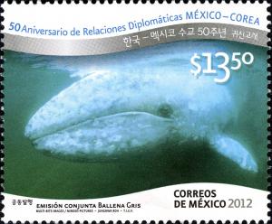 Colnect-4243-014-Gray-Whale-Eschrichtius-robustus.jpg