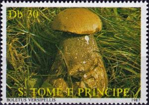 Colnect-5557-012-Boletus-versipellis.jpg