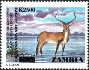 Colnect-5951-696-Kafue-Flats-Lechwe-Kobus-leche-kafuensis.jpg