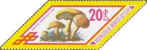 Colnect-905-841-Boletus-variegatus.jpg