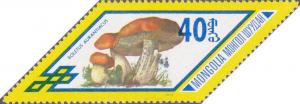 Colnect-905-843-Boletus-aurantiacus.jpg