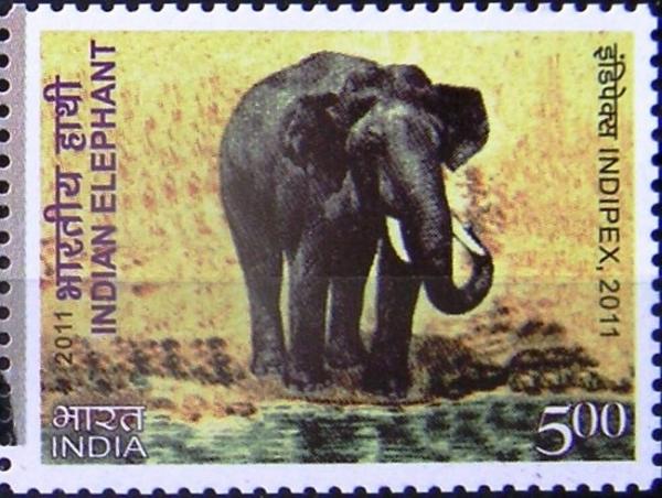 Colnect-1203-380-Asian-Elephant-Elephas-maximus.jpg