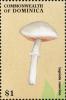 Colnect-3037-962-Lepiota-naucina.jpg