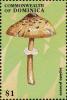 Colnect-3037-966-Lepiota-procera.jpg