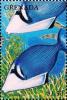 Colnect-4581-376-Lei-triggerfish.jpg