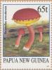 Colnect-3128-791-Boletellus-emodensis.jpg