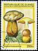 Colnect-2000-345-Boletus-rhodoxanthus.jpg