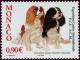 Colnect-1098-212-Cavalier-King-Charles-Spaniel-Canis-lupus-familiaris.jpg