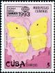 Colnect-1741-771-Yellow-angled-Sulphur-Anteos-maerula.jpg