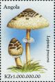 Colnect-2979-957-Lepiota-procera.jpg