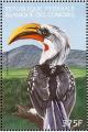 Colnect-3669-563-Eastern-Yellow-billed-Hornbill%C2%A0Tockus-flavirostris.jpg