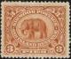 Colnect-4506-719-Indian-Elephant-Elaphas-Maximus.jpg