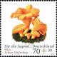 Colnect-5483-964-Chanterelle-Cantharellus-cibarius.jpg