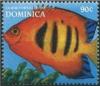 Colnect-3206-753-Flame-Angelfish-Centropyge-loriculus.jpg