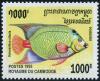 Colnect-3984-407-Queen-Angelfish-Holacanthus-ciliaris.jpg