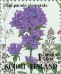 Colnect-160-252-Clustered-Bellflower-Campanula-glomerata.jpg