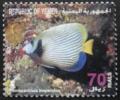 Colnect-1758-825-Emperor-Angelfish-Pomacanthus-imperator.jpg