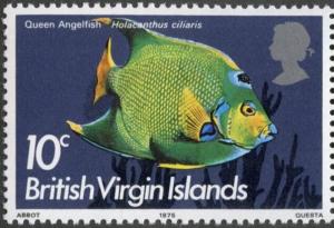 Colnect-3072-131-Queen-Angelfish-Holocanthus-ciliaris.jpg