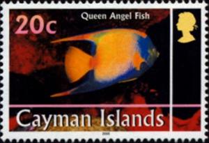 Colnect-3980-577-Queen-Angelfish-Holacanthus-ciliaris.jpg