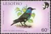 Colnect-1725-556-Cape-Starling%C2%A0Lamprotornis-nitens.jpg