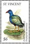 Colnect-1755-630-Purple-Gallinule-Porphyrio-porphyrio.jpg