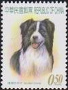 Colnect-3005-803-Border-Collie-Canis-lupus-familiaris.jpg