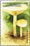 Colnect-3045-410-Clitocybe-dealbata.jpg