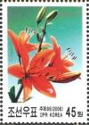 Colnect-3102-414-Lilium-concolor.jpg