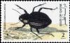 Colnect-4169-077-Arabian-Darkling-Beetle-Pimelia-arabica.jpg