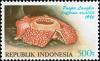 Colnect-4802-654-Corpse-lily-Rafflesia-arnoldii.jpg