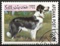 Colnect-1186-500-Border-Collie-Canis-lupus-familiaris.jpg