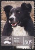 Colnect-1528-900-Border-Collie-Canis-lupus-familiaris.jpg