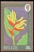 Colnect-1699-206-Heliconia-Aurantiaca.jpg