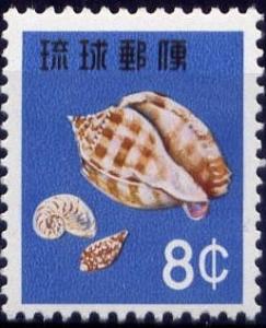 Colnect-4490-958-Banded-Bonnet-Phalium-bandatum-Chambered-Nautilus.jpg