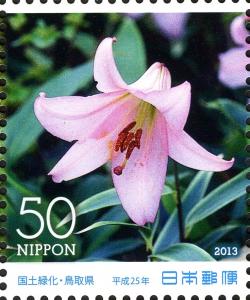 Colnect-3048-717-Lilium-japonicum.jpg