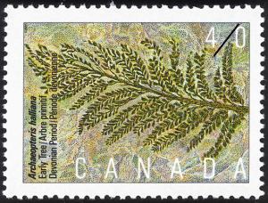 Colnect-1038-368-Archaeopteris-halliana-Early-Tree-Devonian-Period.jpg