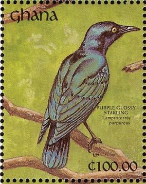 Colnect-1459-793-Purple-Starling-Lamprotornis-purpureus.jpg