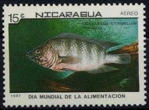 Colnect-1497-042-Midas-Cichlid-Cichlasoma-citrimellum.jpg