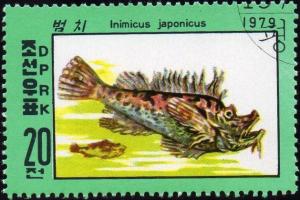 Colnect-1614-664-Japanese-Goblinfish-Inimicus-japonicus-.jpg