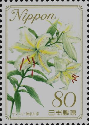 Colnect-4032-184-Gold-Band-Lily---Kanagawa-Prefecture.jpg