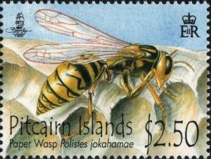 Colnect-5888-249-Paper-Wasp-Polistes-jokahamae-facing-right.jpg