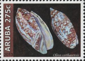 Colnect-6279-144-Oliva-caribaeensis.jpg