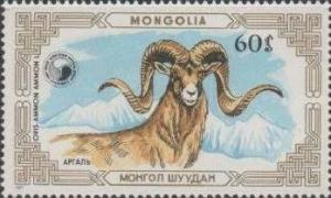 Colnect-918-373-Argali-Ovis-ammon-ammon.jpg