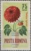 Colnect-458-508-Dahlia-Dahlia-hybrida.jpg