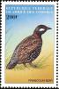 Colnect-3669-541-Black-Francolin-Francolinus-francolinus.jpg