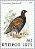 Colnect-174-285-Black-Francolin-Francolinus-francolinus.jpg