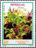 Colnect-2569-127-Glory-Lily-Gloriosa-superba.jpg