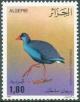 Colnect-1296-667-Purple-Gallinule-Porphyrio-porphyrio.jpg